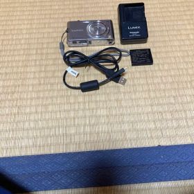 Panasonic LUMIX DMC-FX60 本体