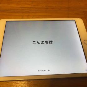 iPad mini 3
