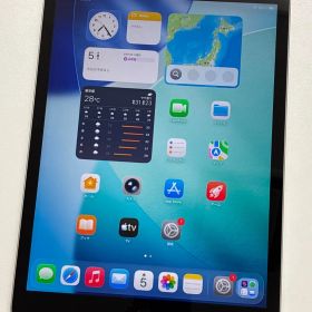 Apple iPad 第9世代 64GB Wi-Fi+Cellular MK493J/A A2604 動作品
