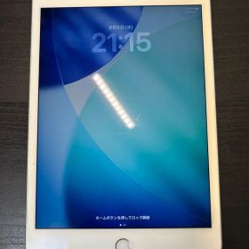 Apple iPad mini 5 256GB最大容量91%