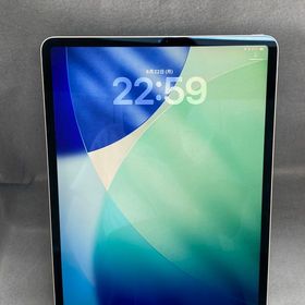 美品 iPad Pro 12.9インチ 第3世代 256GB Wi-Fi版 スペースグレー色