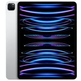 12.9インチ iPad Pro第6世代 WiFiモデル Apple認定整備品