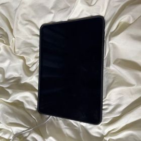 Apple iPad Pro 11インチ 第2世代 256GB 本体