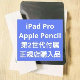 正規品｜iPad Pro 11インチ 第2世代 Apple Pencil 付属