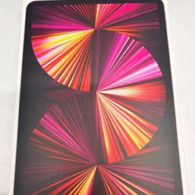 iPad Pro グレー セルラー 11インチ 第三世代 128GB ペン付き