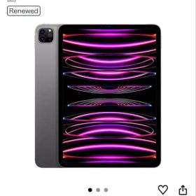 Apple iPad Pro 11インチ 第4世代 本体