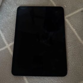 Apple iPad Pro 本体 第四世代 11インチ