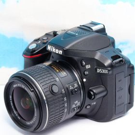 簡単操作⭐️ニコン Nikon D5300⭐️スマホ転送⭐️画面が動く