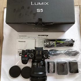 パナソニック LUMIX DC-S5K 標準ズームレンズキット 美品