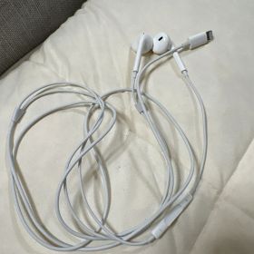 Apple EarPods with Lightning Connector