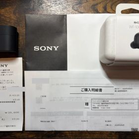 SONY WF-1000XM6 ワイヤレスイヤホン