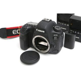 【全額返金保証】並品｜キヤノン EOS 6D Mark II ボディ CA01-B6753-3V3A