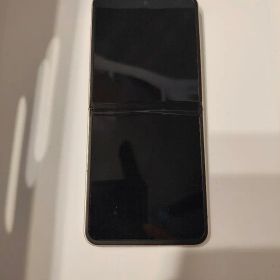 ZTE Libero Flip ゴールド 本体&選べるケース1つ付