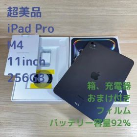 P34 超美品 iPad Pro M4 11インチ 256GB おまけ付き