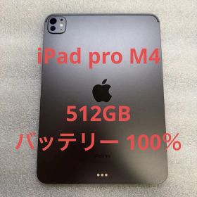 iPad pro 11インチ 第5世代 M4 512GB