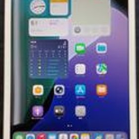 IPAD MINI(第5世代) MUU52J/A APPLE