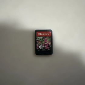 スプラトゥーン2 Nintendo Switch ソフト