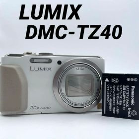 実写良⭕️訳あり【動作確認済み】Panasonic LUMIX DMC-TZ40