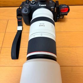 Canon R6 Mark II ＋ RF 100-500 ＋ ドットサイト×2