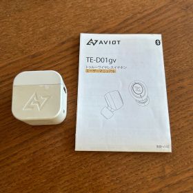 AVIOT TE-D01gv ワイヤレスイヤホン 本体