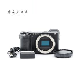 ショット数67,202回 SONY α6500 ILCE-6500 ミラーレス一眼 ソニー Eマウント