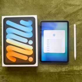 iPad mini 第6世代 Wi-Fi 箱 カバー ペンシル 付き