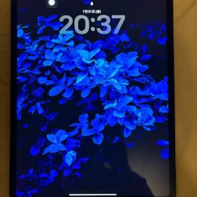 iPad Pro 12.9インチ 第4世代 128GB バッテリー91%