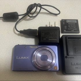 Panasonic LUMIX DMC FX80 本体