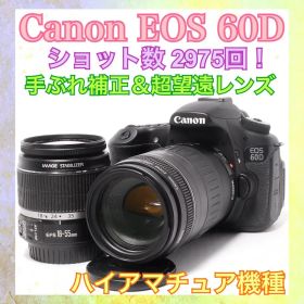 ショット数少なめ❤️Canon EOS 60D❤️一眼レフカメラ❤️ハイアマチュア機種