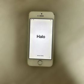 Apple iPhone 5s本体 シルバー