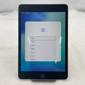 【8/7～8/11限定価格】★美品★ Apple iPad mini 7.9インチ 第5世代 Wi-Fi+Cellular 256GB MUXC2J/A SIMロック解除済み(docomo) スペースグレイ (RM2355) ［256GB］