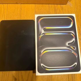 iPad Pro 11インチ M4 256GB A2836 画面が映らない