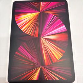 M1 iPad Pro 11インチ 128GB セルラー 第2世代ペン付き