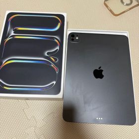 Apple iPad Pro 11インチ (第5世代) 本体