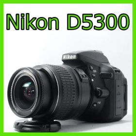 Nikon D5300★シャッター回数少★無線でスマホに転送★届いて即使える