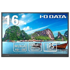 IODATA アイオーデータ 広色域＆WUXGA対応16型ディスプレイ(LCD-YC163DX)