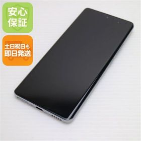 安心保証 超美品 OPPO Reno10 Pro 5G A302OP シルバーグレー