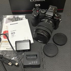 Panasonic LUMIX DC-S5K