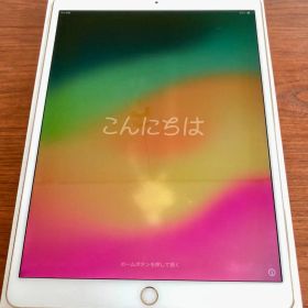 iPad pro 10.5インチ 256GB Cellerモデル