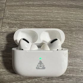 Apple AirPods Pro 1世代本体 ※ジャンク