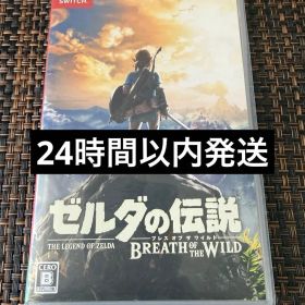 ゼルダの伝説 ブレス オブ ザ ワイルド Switch