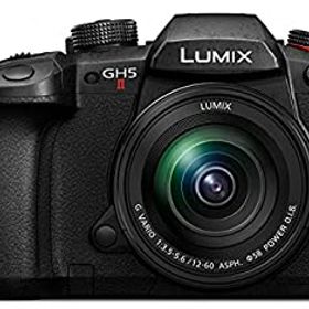 【中古】【非常に良い】パナソニック ミラーレス一眼カメラ ルミックス GH5M2 レンズキット 標準ズームレンズ付属 ブラック DC-GH5M2M
