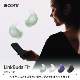sony ワイヤレスイヤホン ソニー 完全 LinkBuds Fit ノイズ グリーン WF-LS910N GZ
