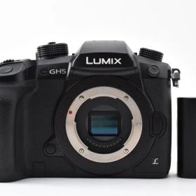 超極上★Panasonic ルミックス DC-GH5 ボディ #1009