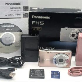 Panasonic DMC-FH5 ✨ 極美品 フルセット パナソニック