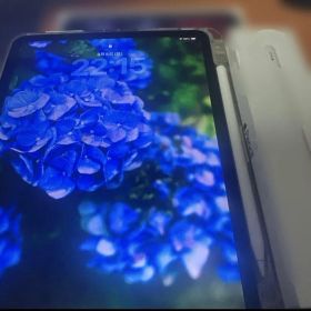 iPad Pro 11インチ 第2世代 スペースグレー ペン付