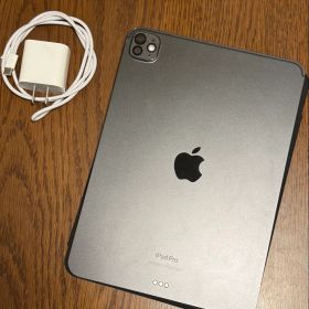Apple iPad Pro M4 11inch 256GB