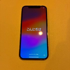 iPhone 12 Pro 256GB
