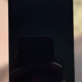 iPhone 12 Pro パシフィックブルー 本体 256GB SIMフリー
