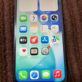 Apple iPhone 12 本体 ブラック (訳あり)
